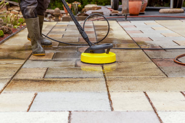 Best Animal Enclosure Cleaning  in Big Sandy, TX